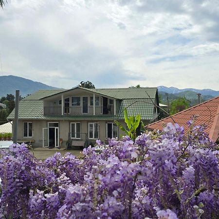 Olga'S Home Μπατούμι Εξωτερικό φωτογραφία