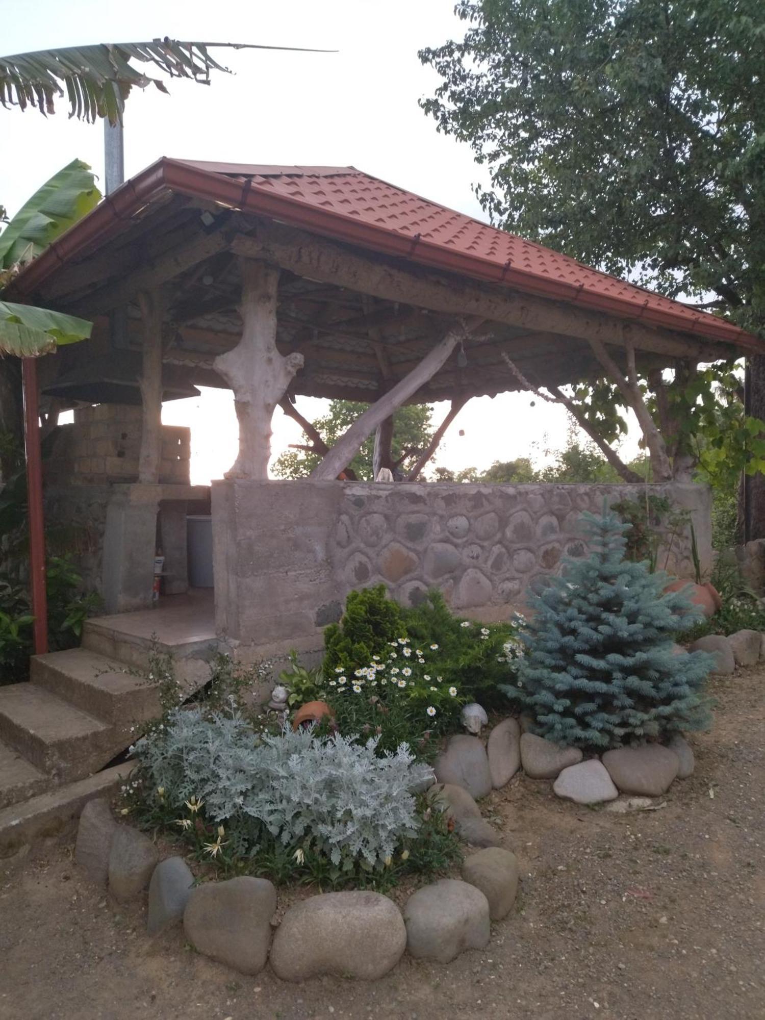 Olga'S Home Μπατούμι Εξωτερικό φωτογραφία