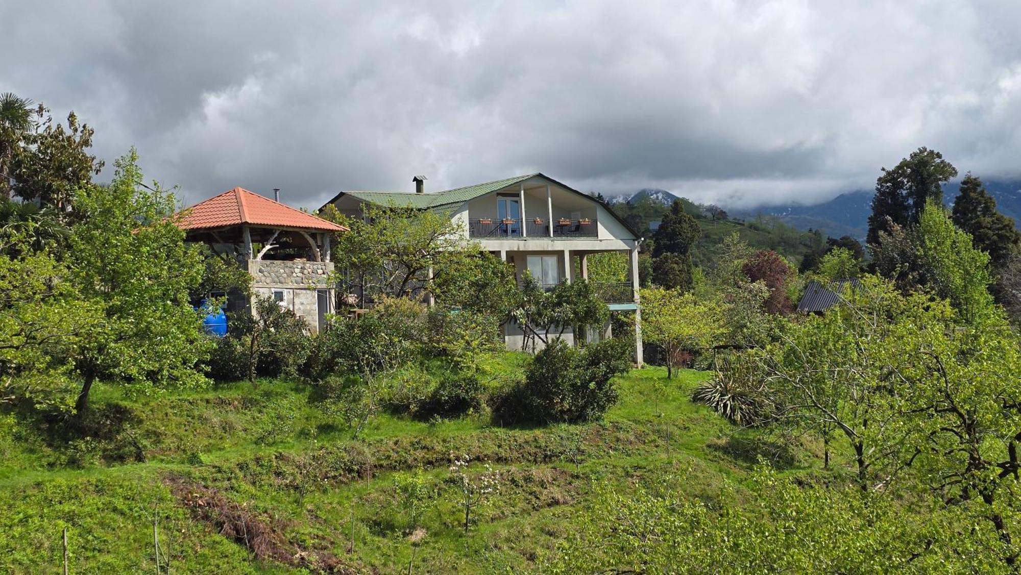 Olga'S Home Μπατούμι Εξωτερικό φωτογραφία