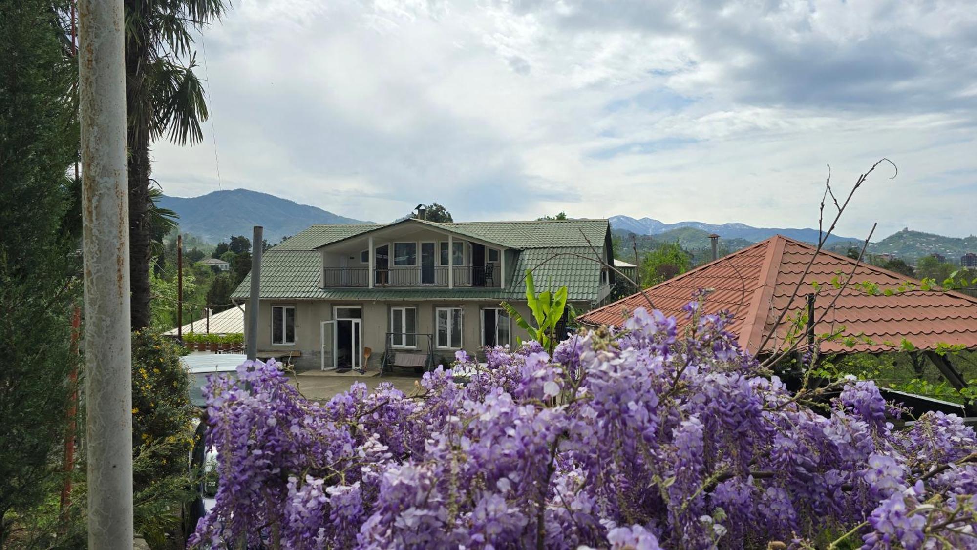 Olga'S Home Μπατούμι Εξωτερικό φωτογραφία
