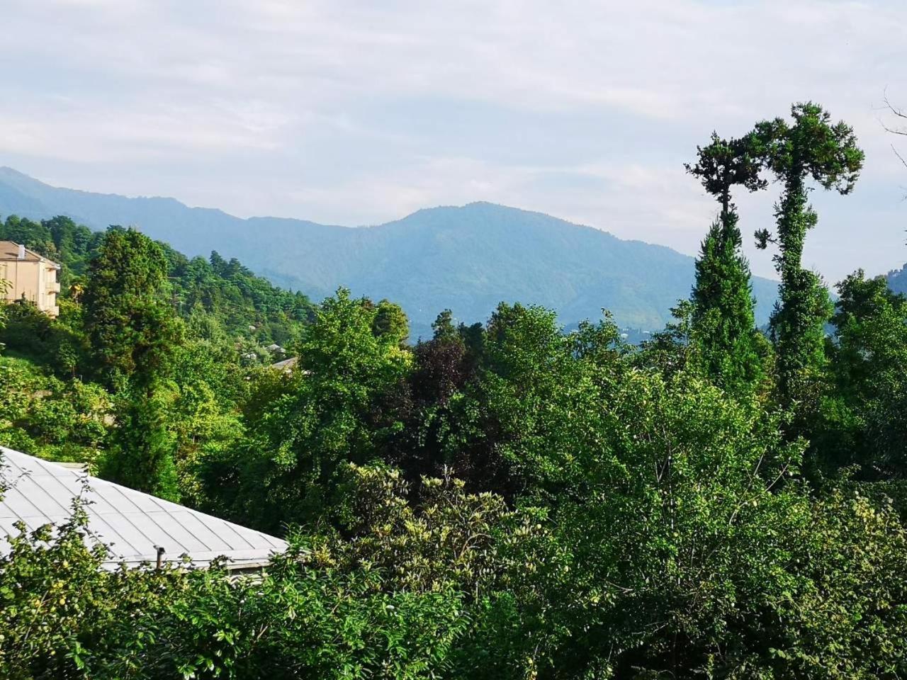 Olga'S Home Μπατούμι Εξωτερικό φωτογραφία